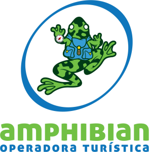 Amphibian Tours